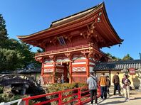 ToolBox12月の営業